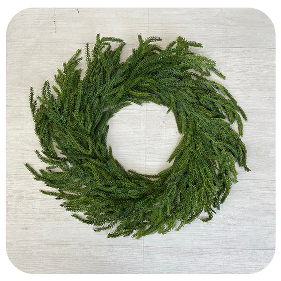 Faux-Norfolk Pine Wreath