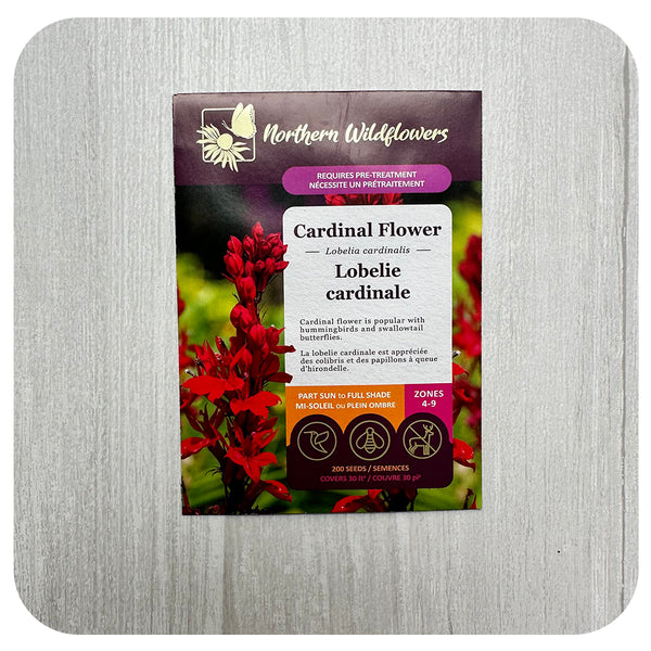 cardinal plant seeds Cardinal Flower Seeds (non-GMO/Chemical Free)