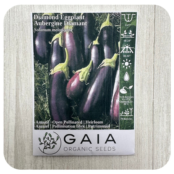 Eggplant 'Diamond' Seeds (Organic)