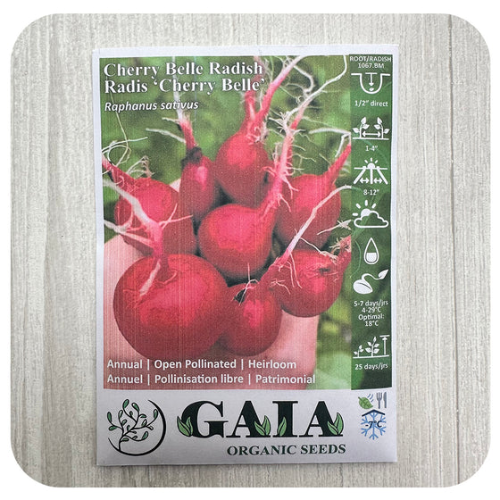Radish 'Cherry Belle' Seeds (Organic)