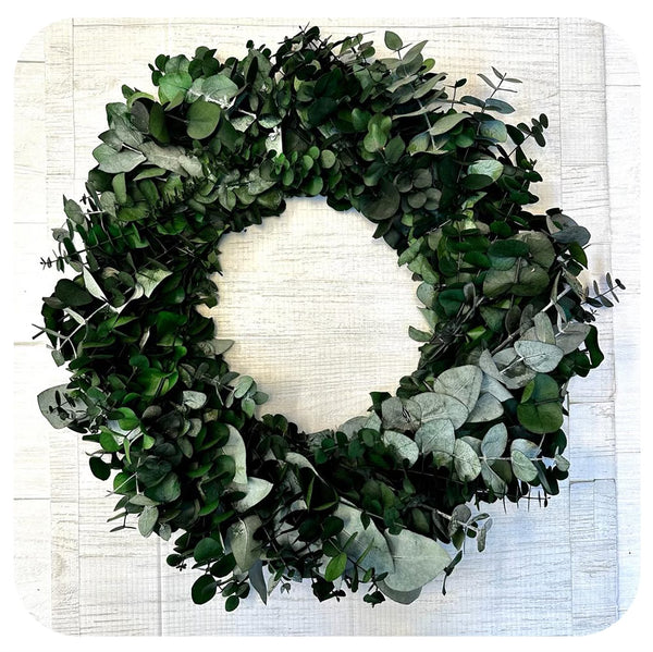 Fresh Eucalyptus Wreath Davenport Garden Centre