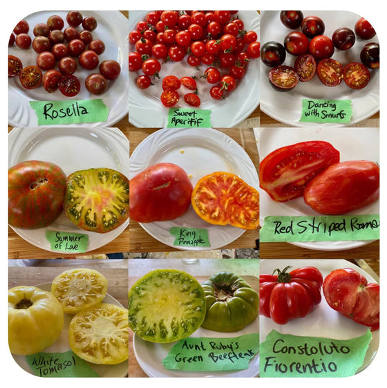 Coeur de boeuf Tomato  (Vicki's Veggies Heirloom Organic)