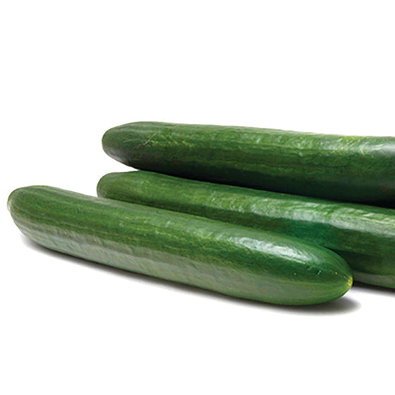 English Cucumber (Organic)
