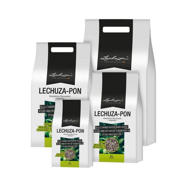 Lechuza Pon