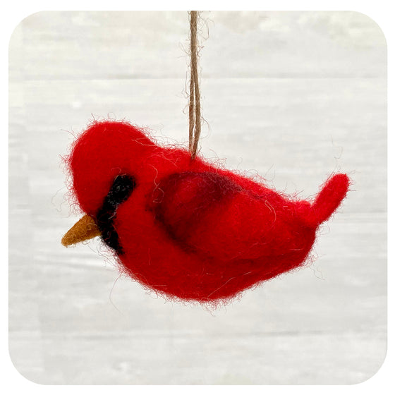 Cardinal Small