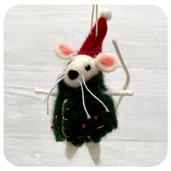 Mouse in Green Coat