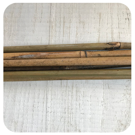Bamboo Stake Natural