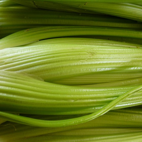 Celery (Organic)