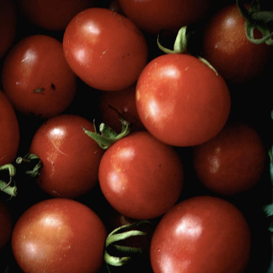 Cherry tomato Peacevine - Organic
