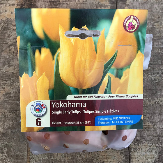 Tulip Yokohama