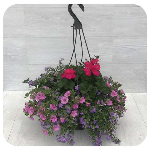 Hanging Baskets