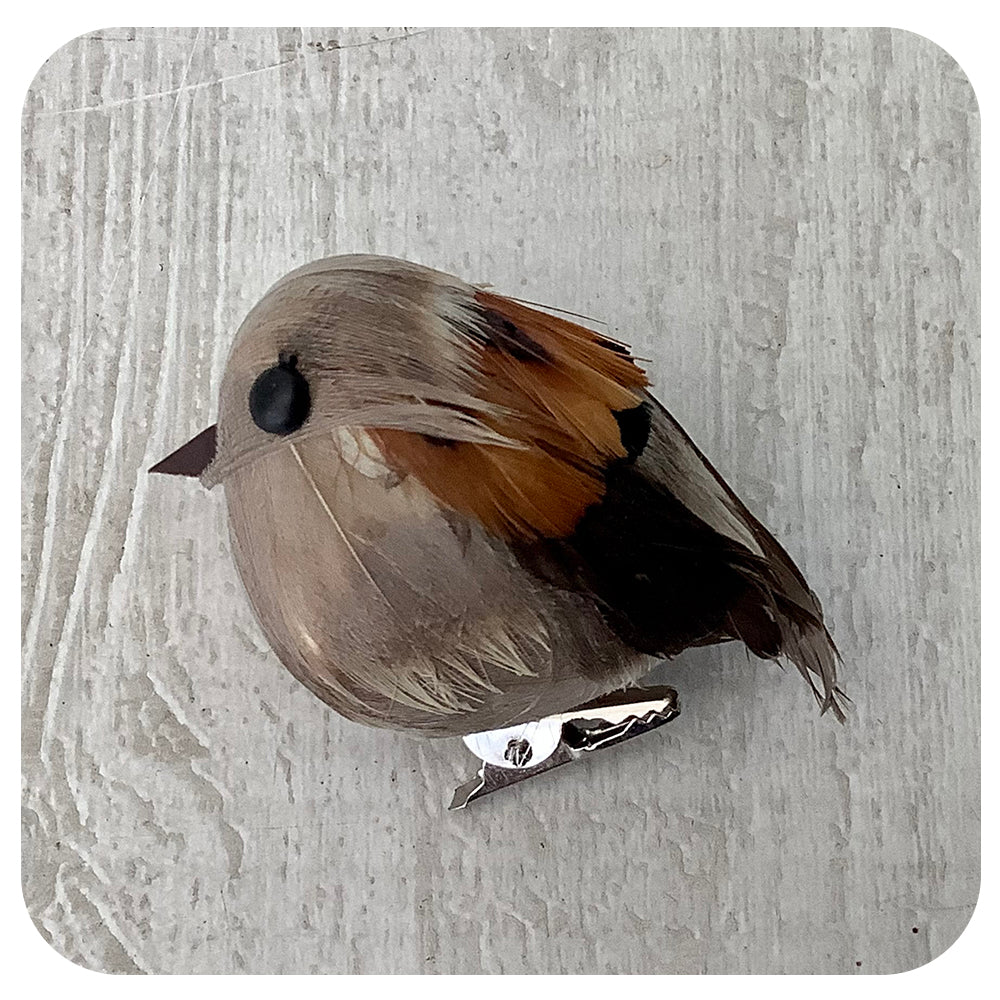 Brown and Grey Bird Clip