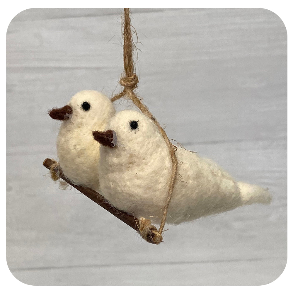 A Pair of Birds on a Branch