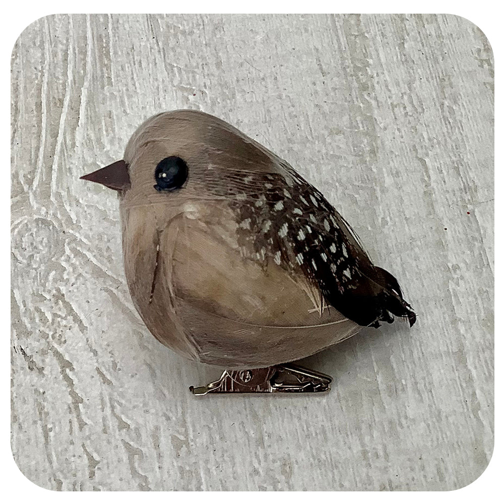 Brown and Grey Bird Clip