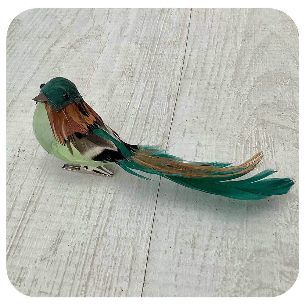 Green and Brown Bird Clip