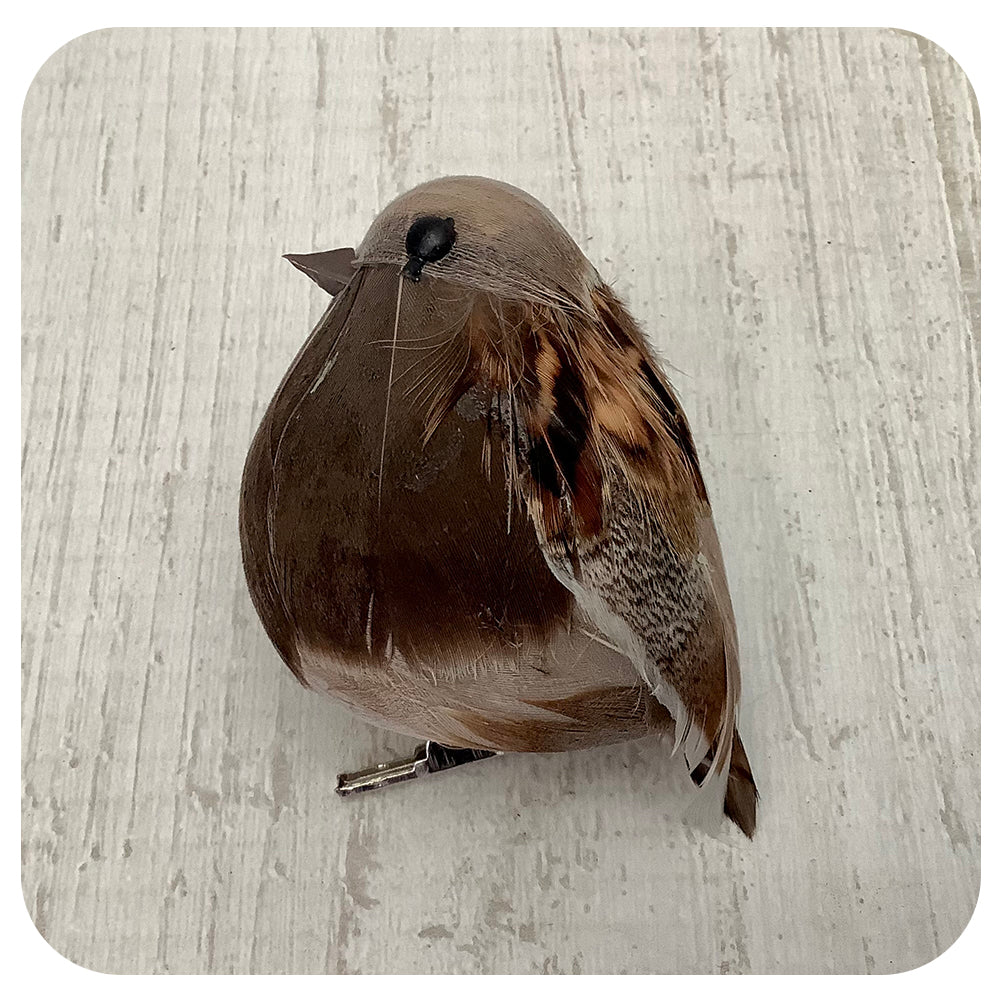 Brown and Grey Bird Clip