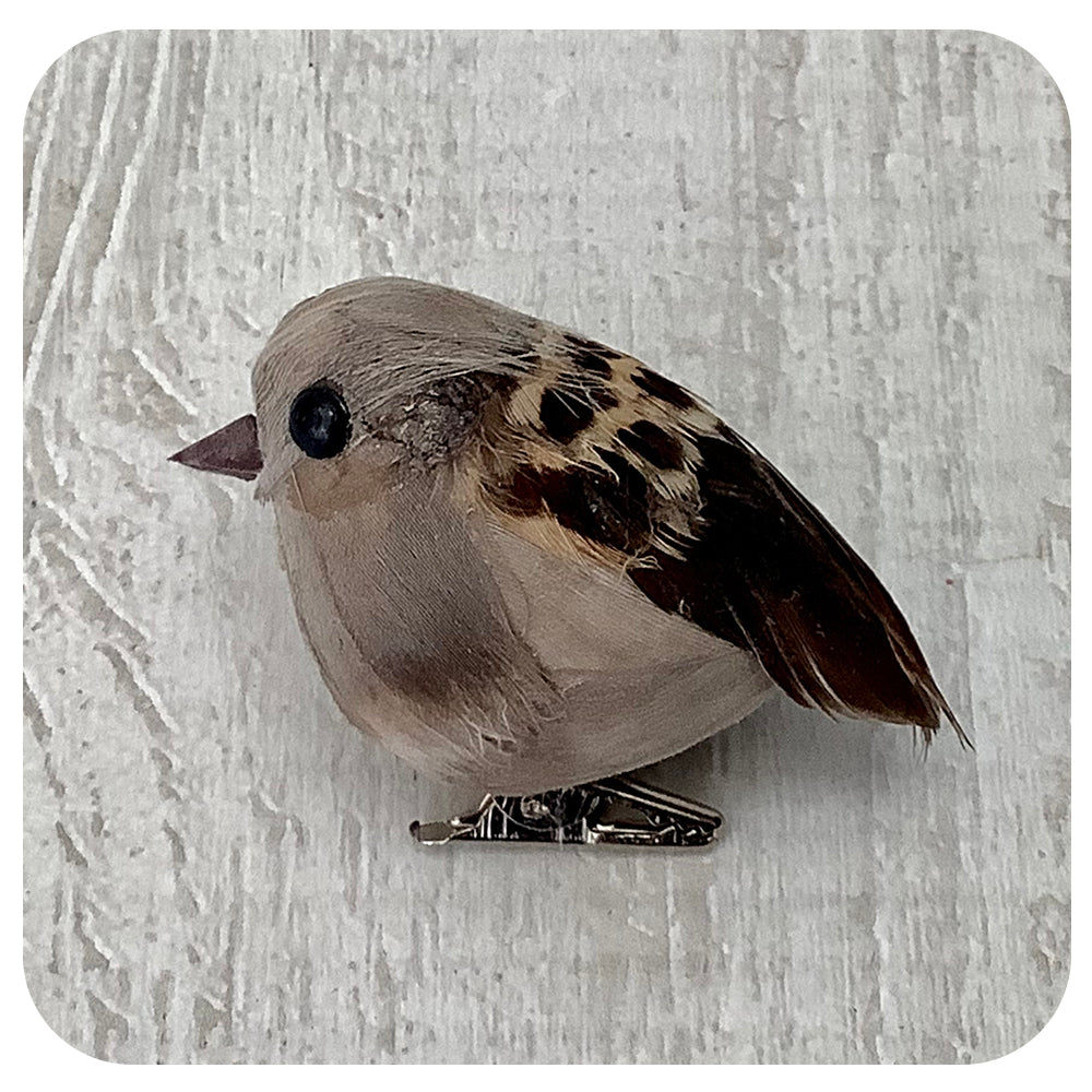Brown and Grey Bird Clip
