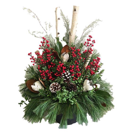 Urn - Carly Winter Berry*