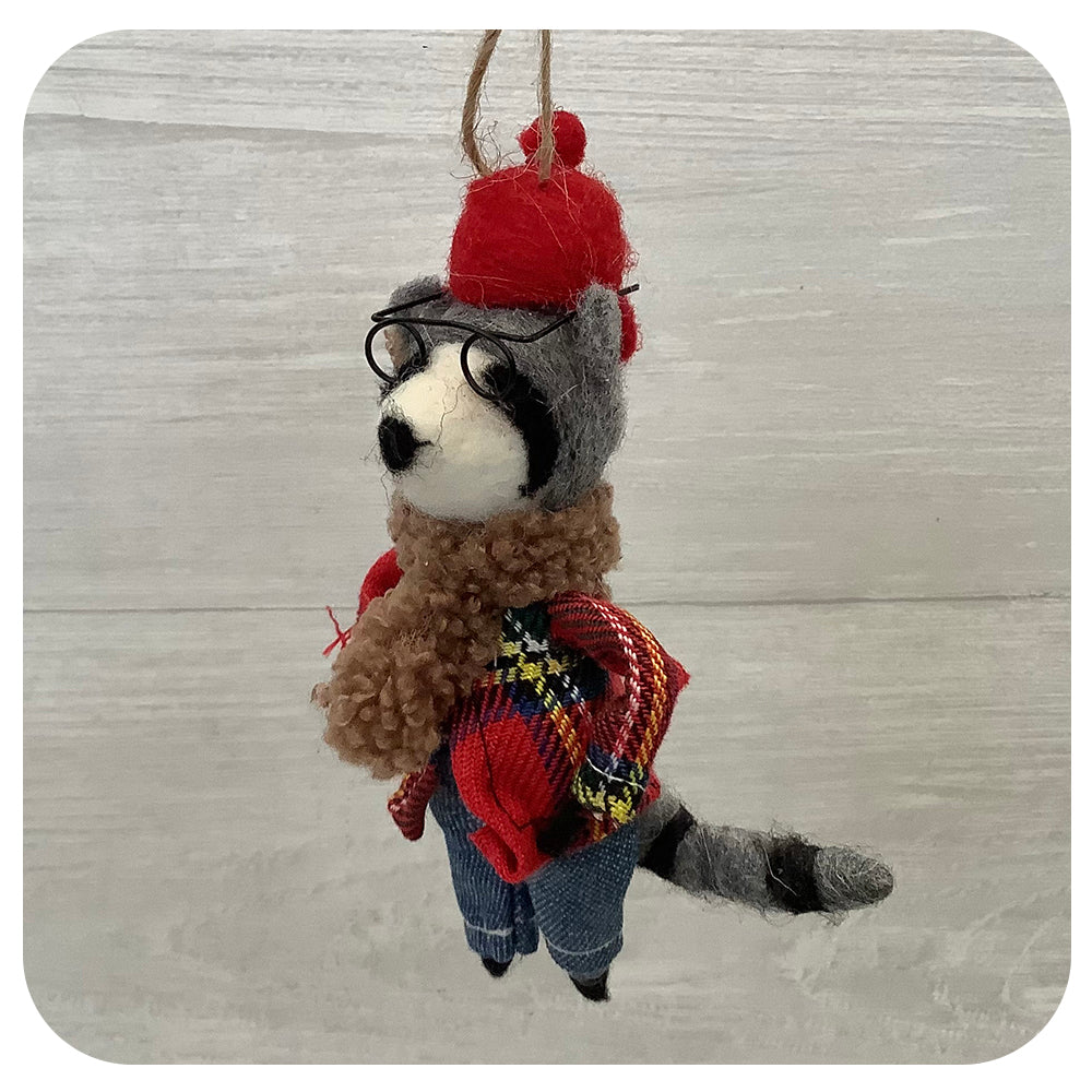 Raccoon with Plaid Jacket