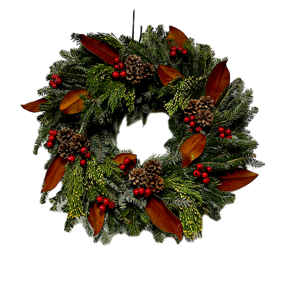 Fraser Fir with Magnolia Leaves Wreath