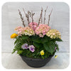 Spring Arrangements