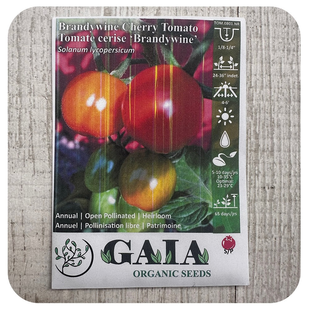 Tomato 'Brandywine' Seeds (Organic)