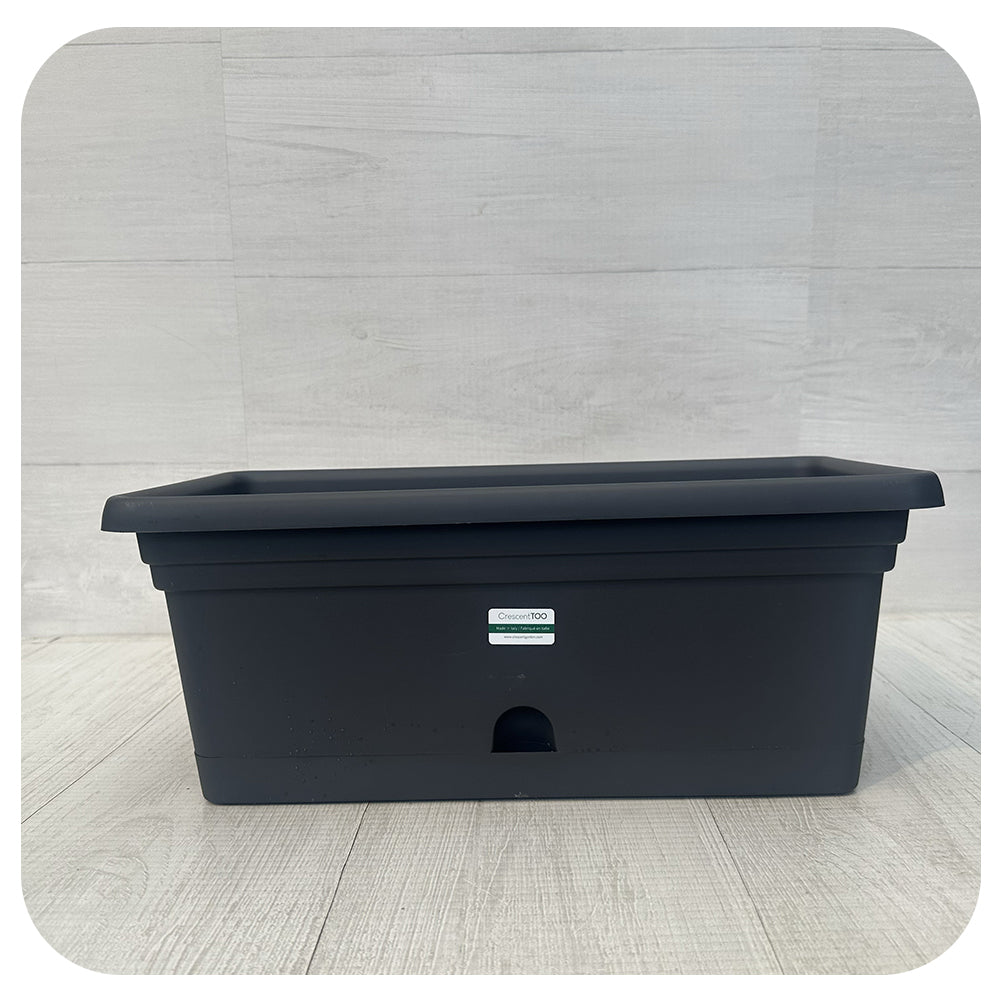 Emma Window Box With Saucer