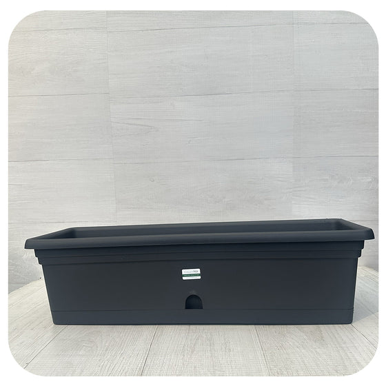 Emma Window Box With Saucer
