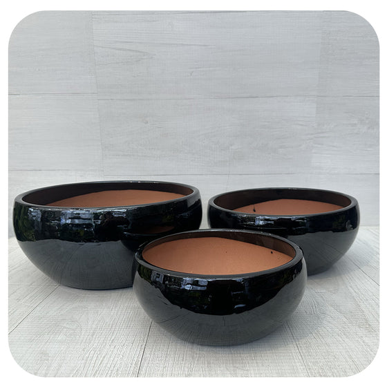 Glazed Bowl Planter