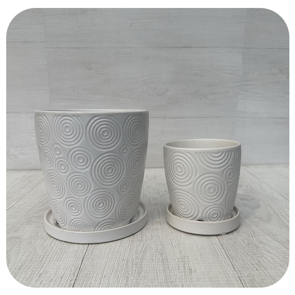 Matte White Textured Pot with Saucer