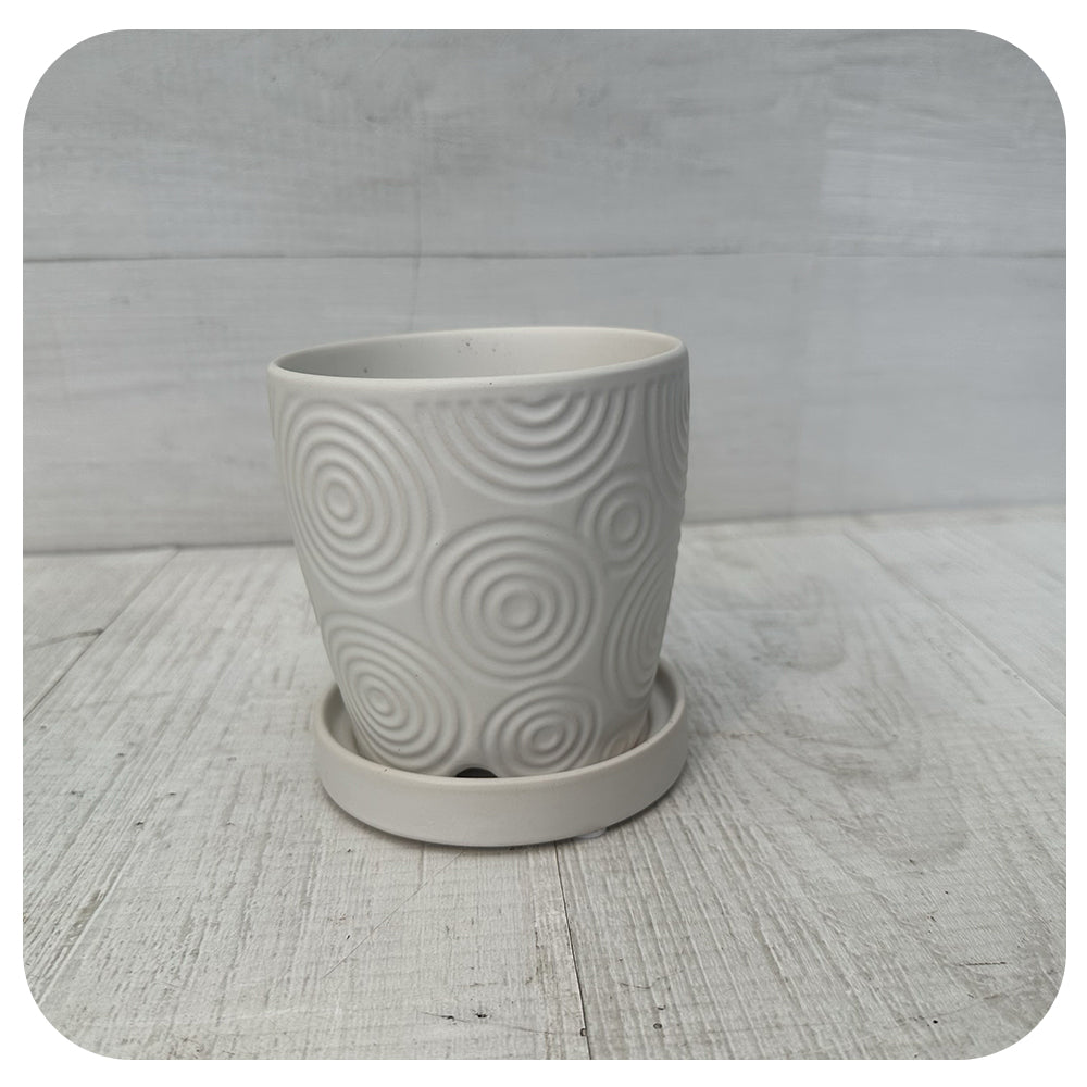 Matte White Textured Pot with Saucer