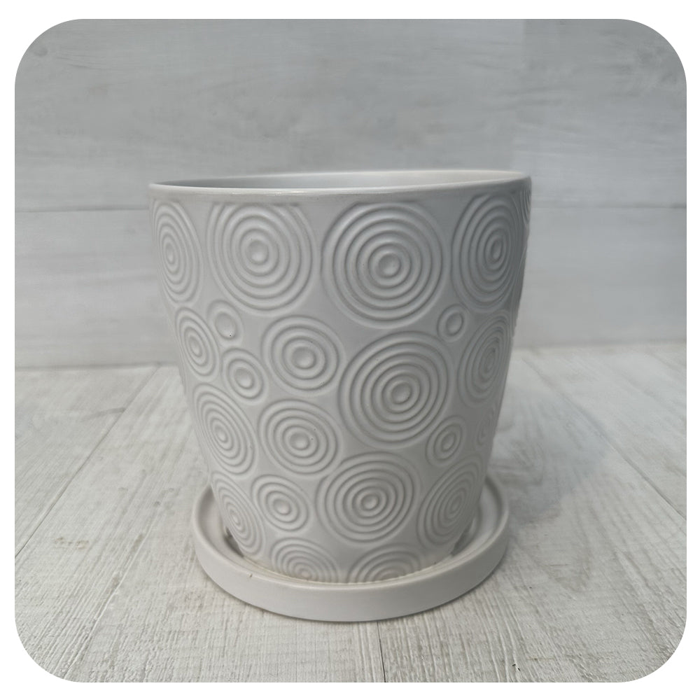 Matte White Textured Pot with Saucer