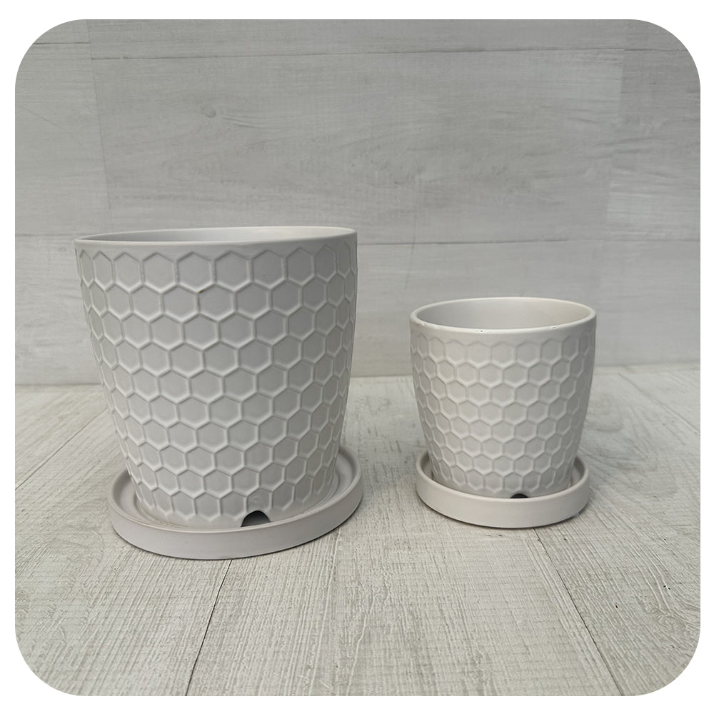 Matte White Textured Pot with Saucer