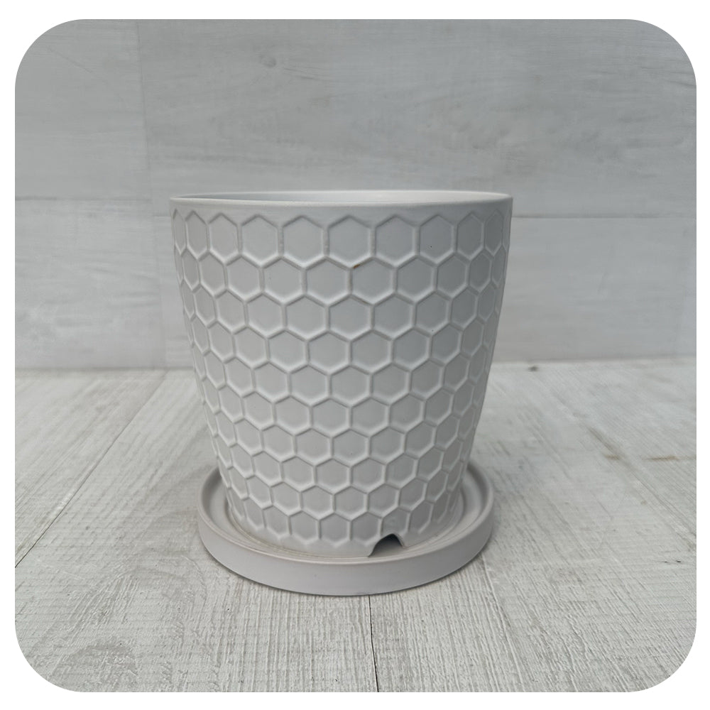Matte White Textured Pot with Saucer