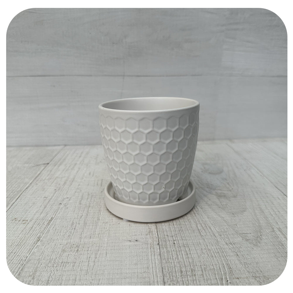 Matte White Textured Pot with Saucer
