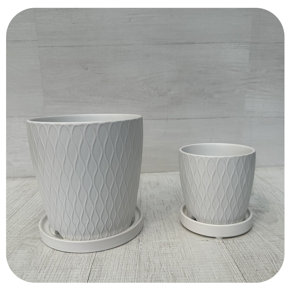 Matte White Textured Pot with Saucer