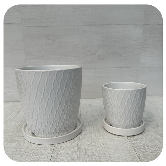 Matte White Textured Pot with Saucer
