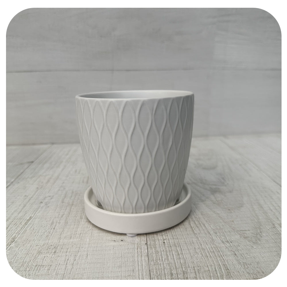 Matte White Textured Pot with Saucer