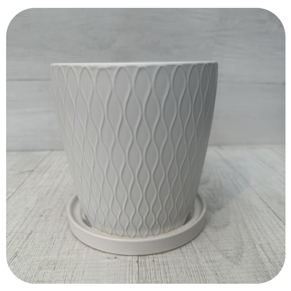 Matte White Textured Pot with Saucer