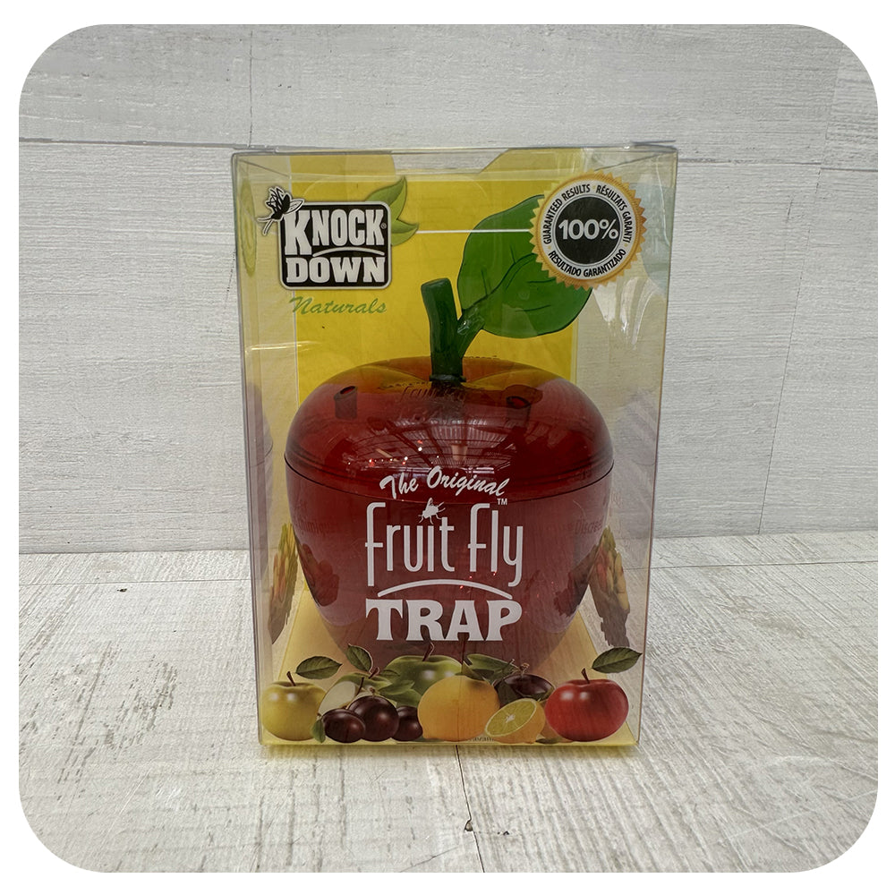 Fruit Fly Trap
