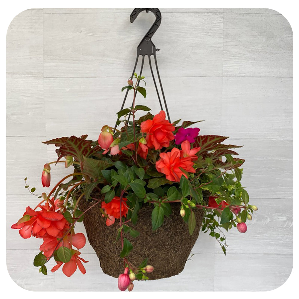 Hanging Basket Shade - Orange Mix
