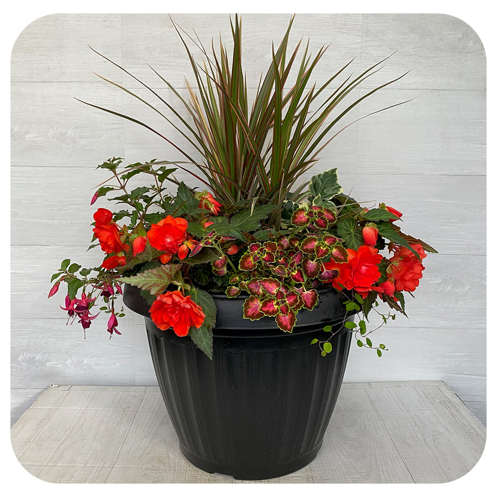 Shade arrangement Mega Orange Mix