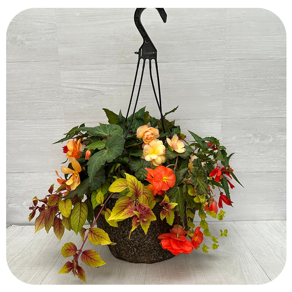 Hanging Basket Shade - Orange apricot Mix