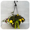 Hanging Basket Shade - Yellow and Fuschia Mix