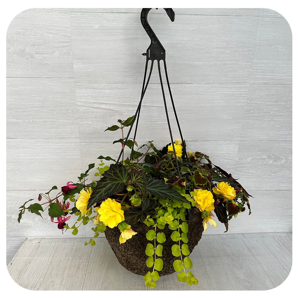 Hanging Basket Shade - Yellow and Fuschia Mix
