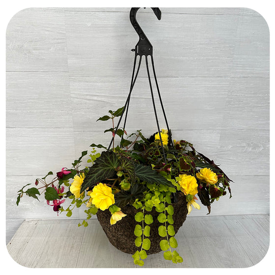 Hanging Basket Shade - Yellow and Fuschia Mix
