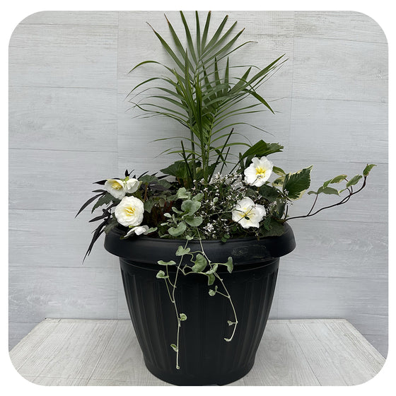Shade arrangement Mega White Mix