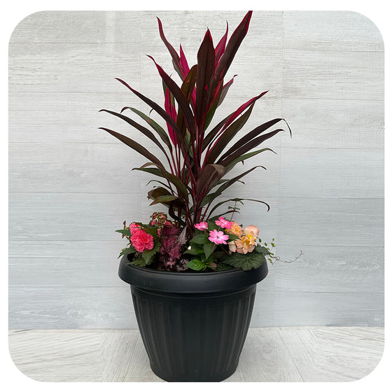 Shade arrangement Mega Pink Mix