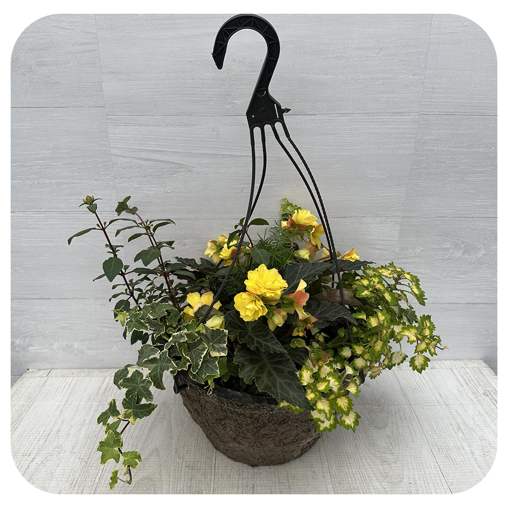 Hanging Basket Shade - Yellow and Fuschia Mix