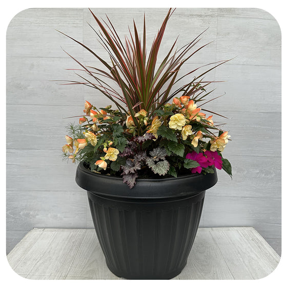 Shade arrangement Mega Bright Peach Mix